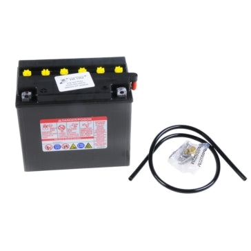 Yuasa YUAM2216YTWN Yumicron Battery - YB16-B - 12V
