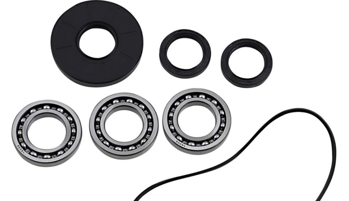 Epi WE290135 Differential Bearing and Seal Kit