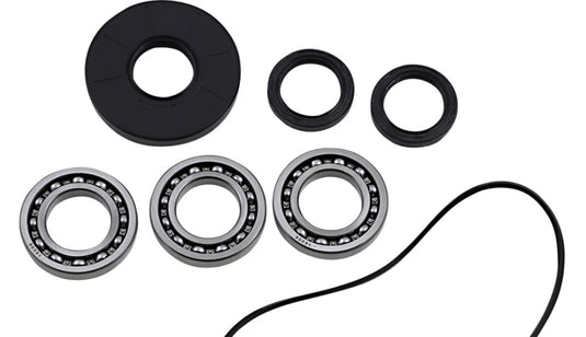 Epi WE290135 Differential Bearing and Seal Kit