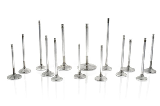 Ferrea F2431P FER Comp Plus Int Valve - Sets