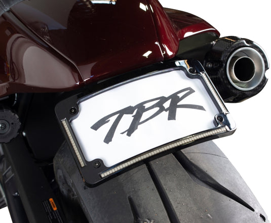 Two Brothers Racing 013-541 Sportster S Fender Eliminator Kit with LP Light