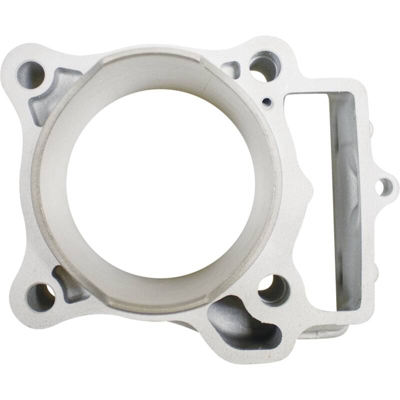 Load image into Gallery viewer, Cylinder Works CW11011-1 CYL Big Bore Cylinder Kit
