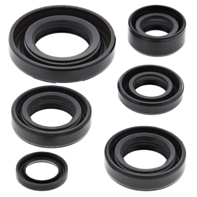 Vertex 822224 Oil Seal Kit