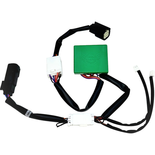 Custom Dynamics CD-STP-TRI Smart Triple Play Module