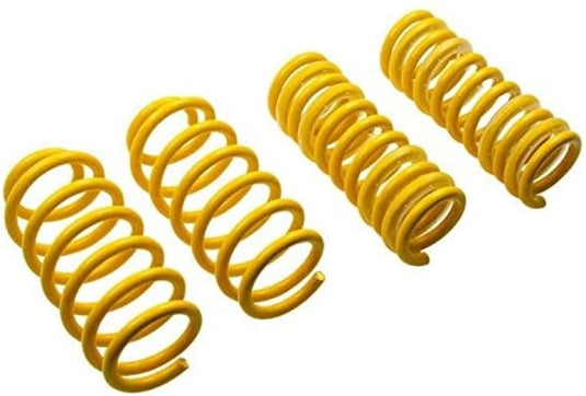 St Suspensions 28215042 STS Lowering Springs