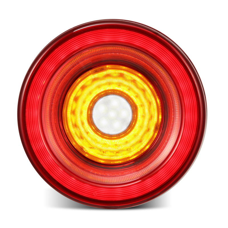 Load image into Gallery viewer, Alpharex 668003 ARX NOVA Tail Lights
