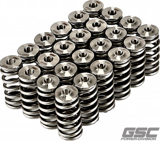 Gsc Power Division 5091 GSC Valve Spring Kits
