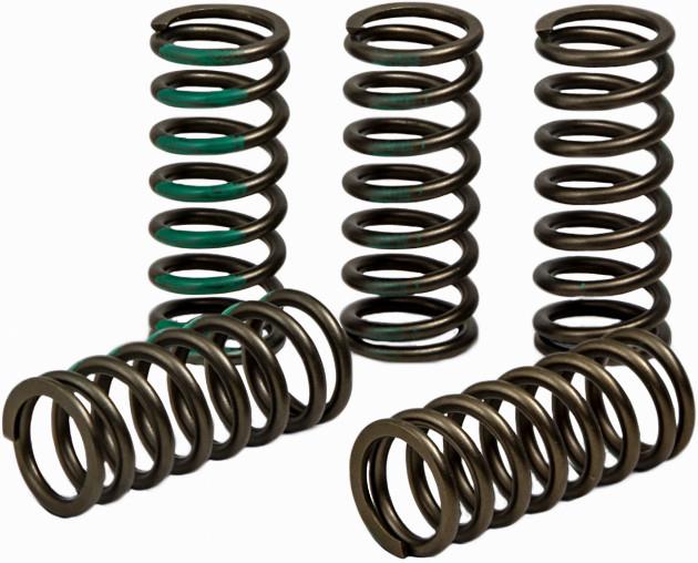 Pro Circuit CSK19450-CS Clutch Springs