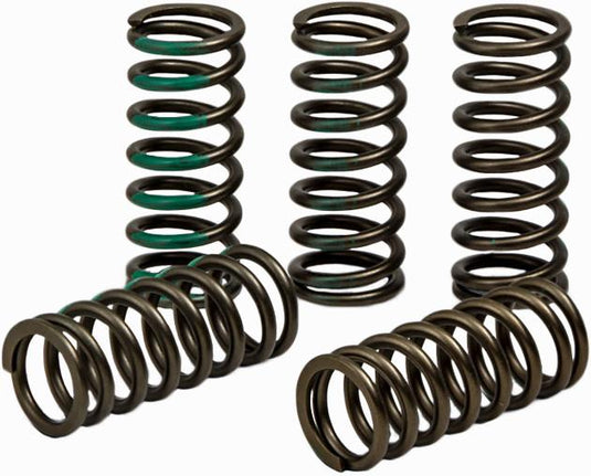 Pro Circuit CSK19450-CS Clutch Springs