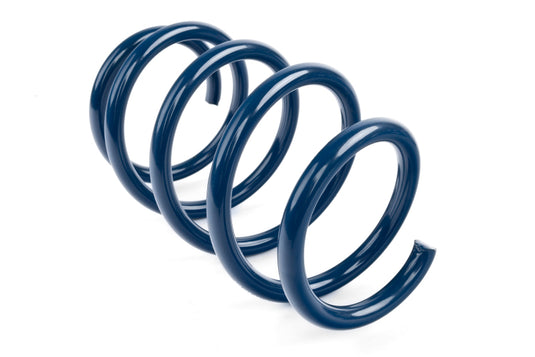 Dinan D100-0938 DNN Coil Springs