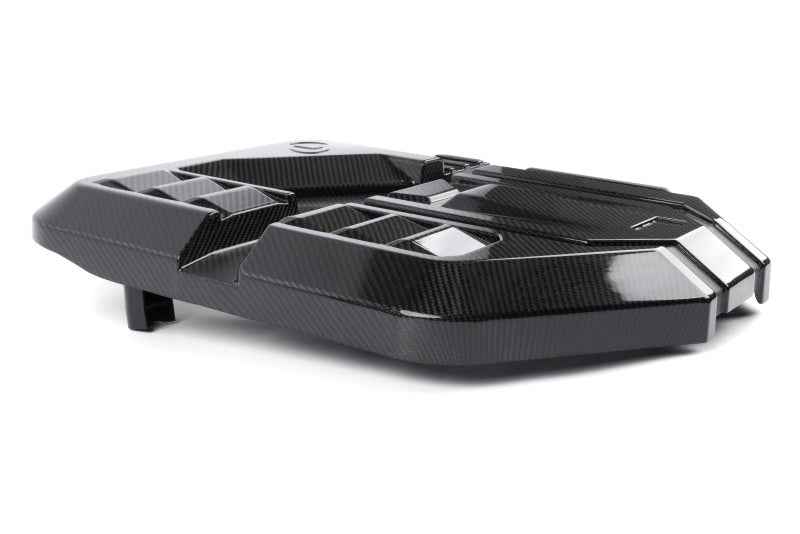 Load image into Gallery viewer, Dinan D590-0005 DNN Engine Covers
