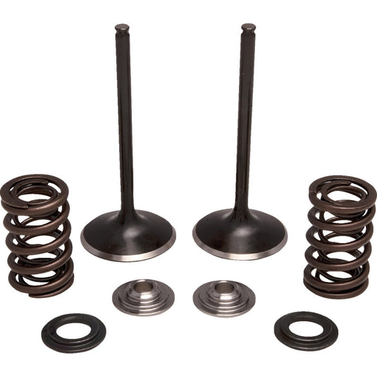 Moose Offroad M30-34260 Stainless Valve and Spring Kit - Exhaust