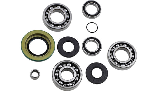 Epi WE290132 Differential Bearing and Seal Kit