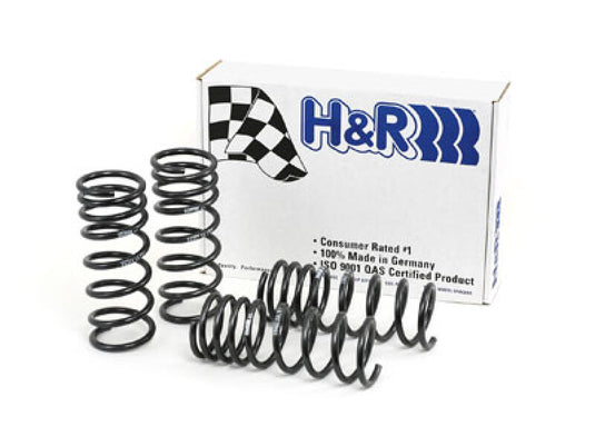 H&R 29487-1 HR Race Springs