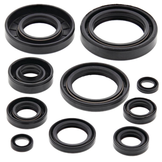 Vertex 822172 Oil Seal Kit