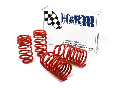 Load image into Gallery viewer, H&amp;R 54748-88 HR Race Springs

