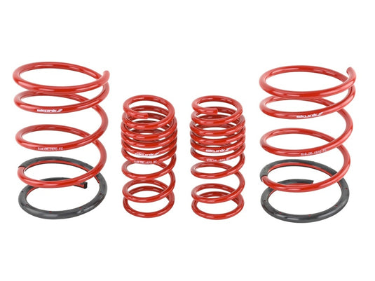Skunk2 Racing 519-05-1570 SK Lowering Springs
