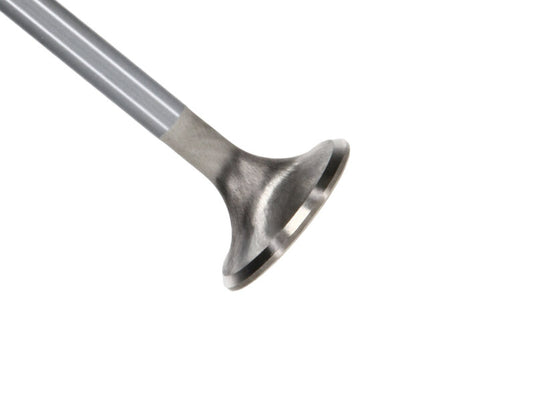 Manley Performance 11627-8 MAN Race Master Valves