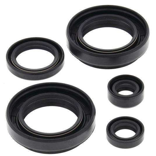Vertex 822234 Oil Seal Kit