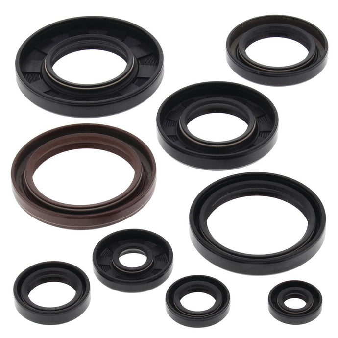 Vertex 822233 Oil Seal Kit