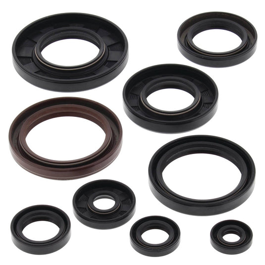 Vertex 822233 Oil Seal Kit