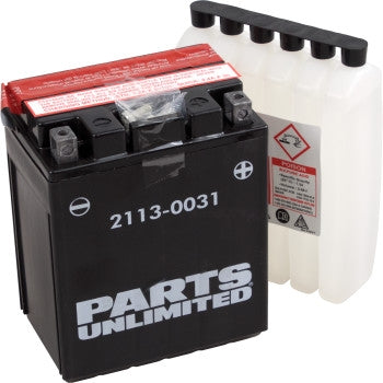Parts Unlimited 2113-0031 AGM Maintenance-Free Battery