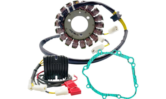 Ricks Motorsport Electric 14-99-300 Lithium-Ion Friendly Charging Kit