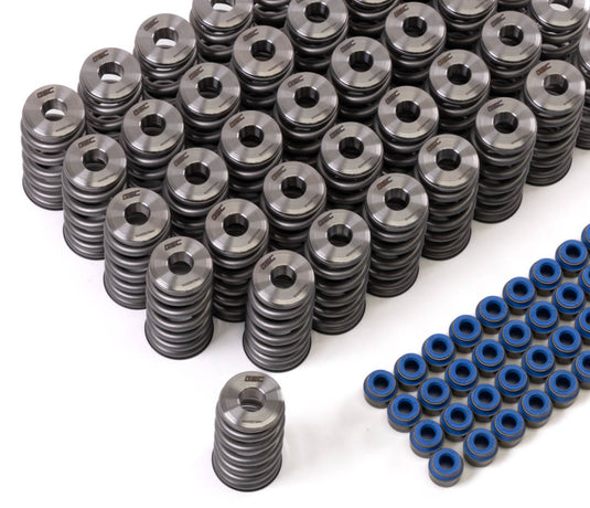 Gsc Power Division 5025 GSC Valve Spring Kits