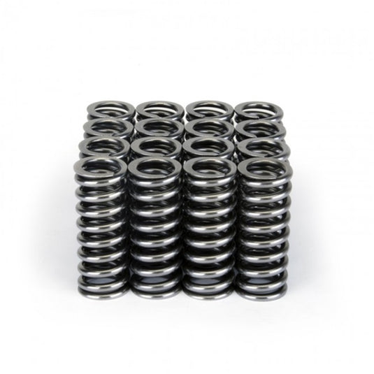 Skunk2 Racing 311-05-1345 SK Tuner Valve Springs
