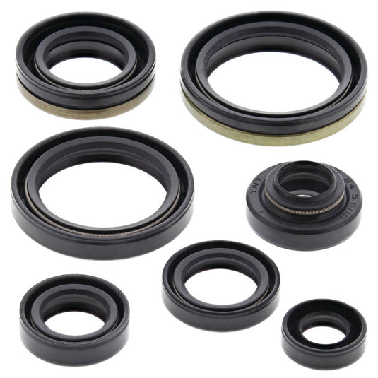 Vertex 822267 Oil Seal Kit