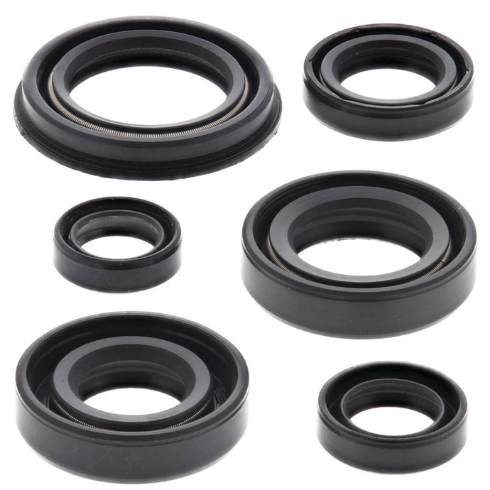 Vertex 822220 Oil Seal Kit