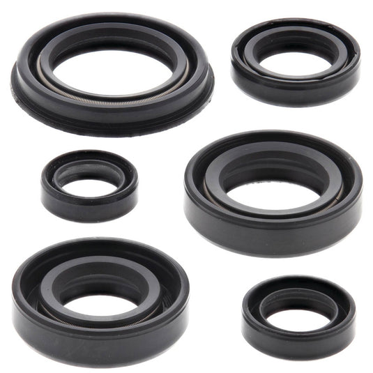 Vertex 822220 Oil Seal Kit