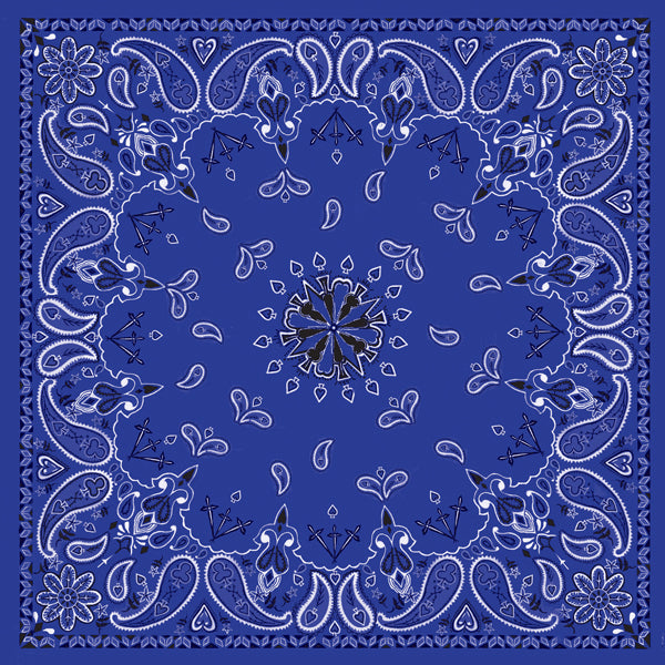 Load image into Gallery viewer, Paisley Navy
