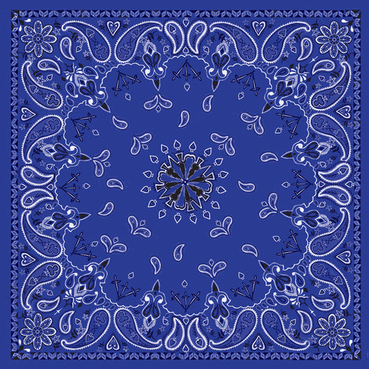 Paisley Navy