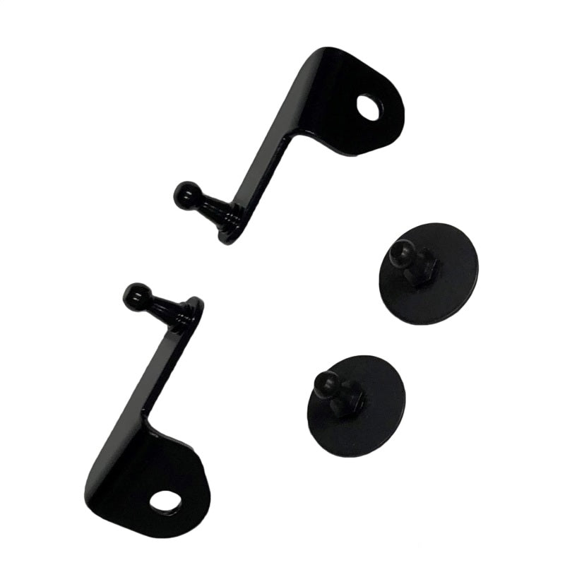 Load image into Gallery viewer, Ford Racing M-16826-B FR Hood Lift Kits
