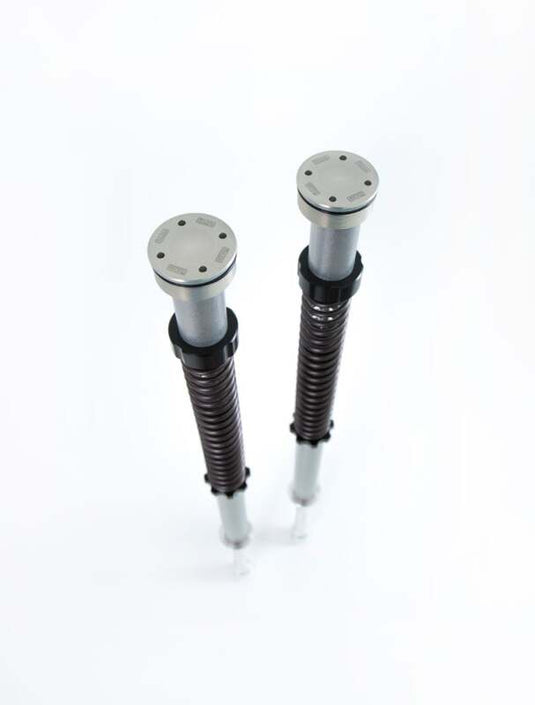 Ohlins FKS 206 OHL NIX 22 Custom & Heritage