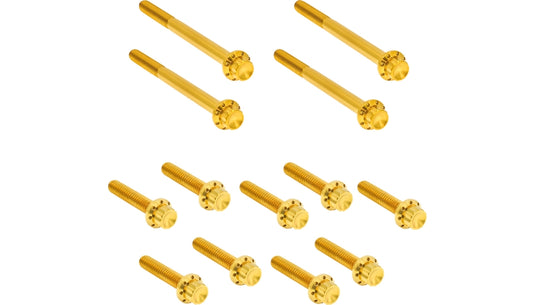 Arlen Ness 300-931 12 Point Primary Bolt Kit - Gold