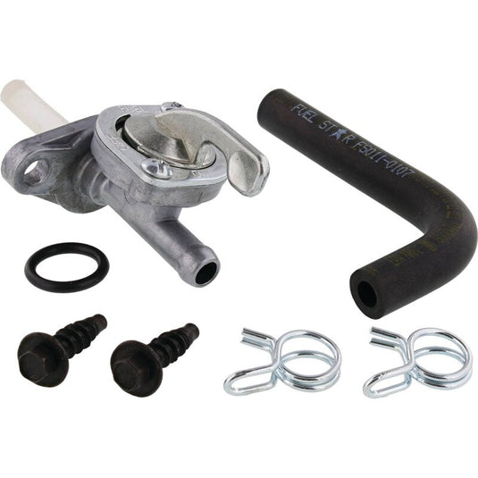 All Balls FS101-0169 Fuel Valve Kit