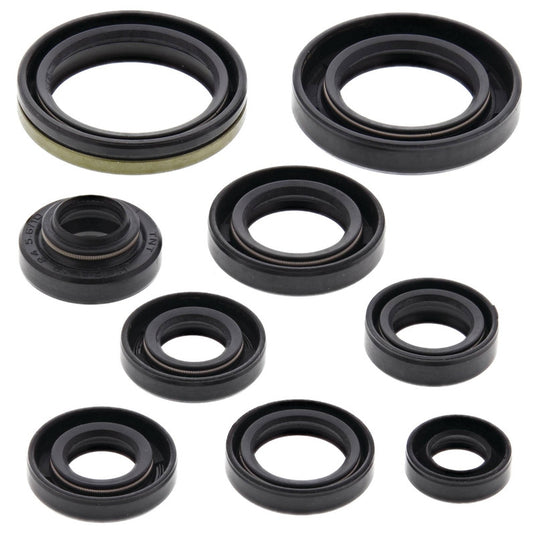 Vertex 822131 Oil Seal Kit