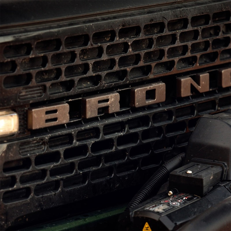 Load image into Gallery viewer, Ford Racing M-1447-BLBR FR Badges
