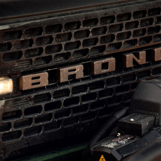 Ford Racing M-1447-BLBR FR Badges