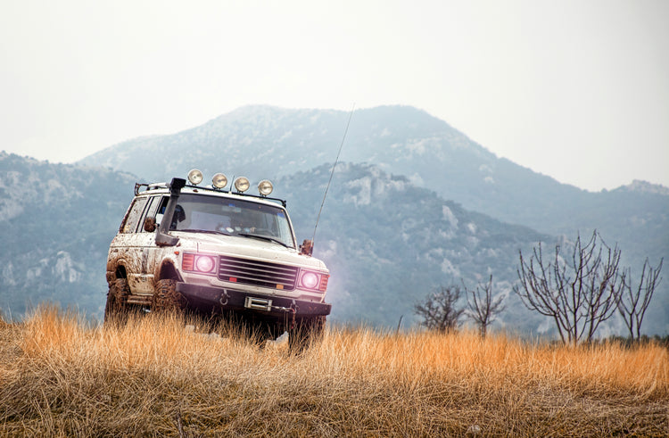 Where Will Your Adventures Take You?