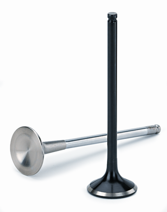 Supertech SEAIVC-3860S-6 SPT PWS Intake Valves
