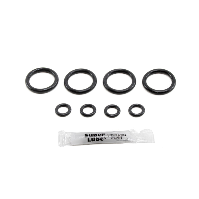 Load image into Gallery viewer, Deatschwerks 2-002-4 DW O-Ring Kit

