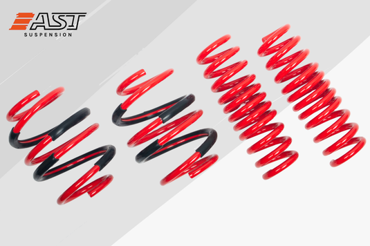Ast ASTLS-01-001 AST Lowering Springs
