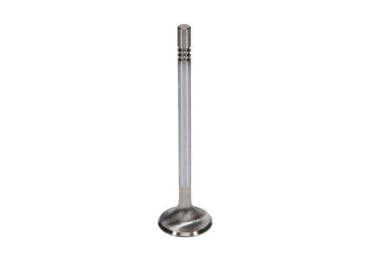 Manley Performance 11627-8 MAN Race Master Valves