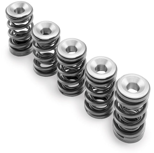 Hot Cams SKYFM660S2 Valve Spring Kit