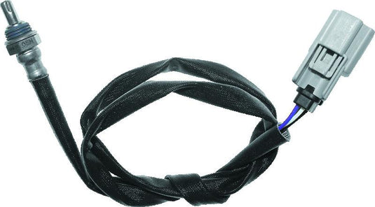 Twinpower 484904 TWP Sensors C