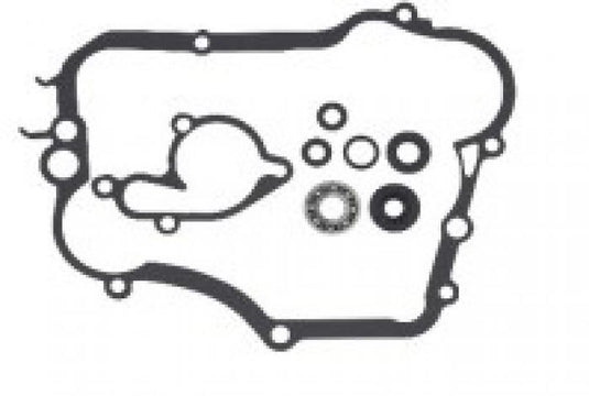 Psychic Mx MX-10261 Water Pump Repair Kit