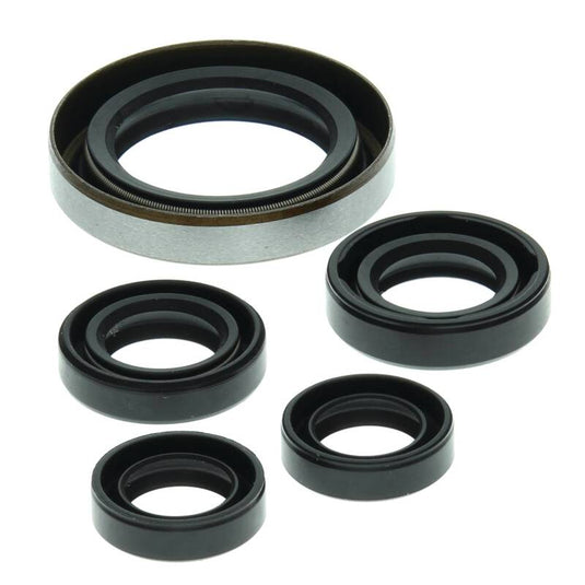 Vertex Pistons 822249 VEP Engine Oil Seal Kit